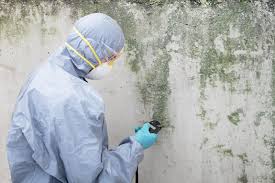 Asbestos and Lead Testing During Mold Inspection in Nanticoke, PA